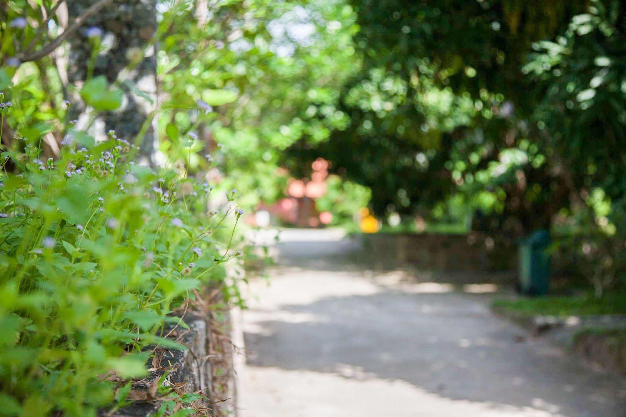 Koh Tao Garden Resort Exterior photo